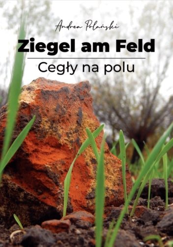 77.jpg
